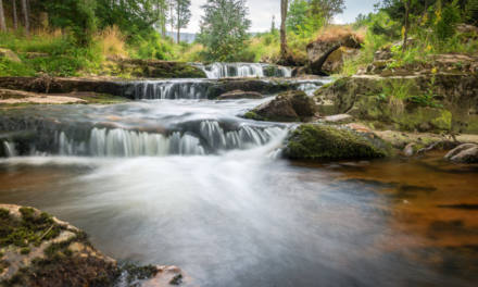 Die Harz Region – eine Urlaubsregion, die viel zu bieten hat