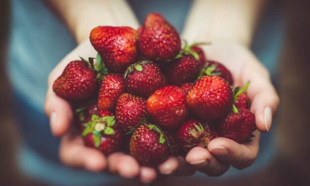 Süße Sünde: Erdbeeren als roter Hochzeitsfaden
